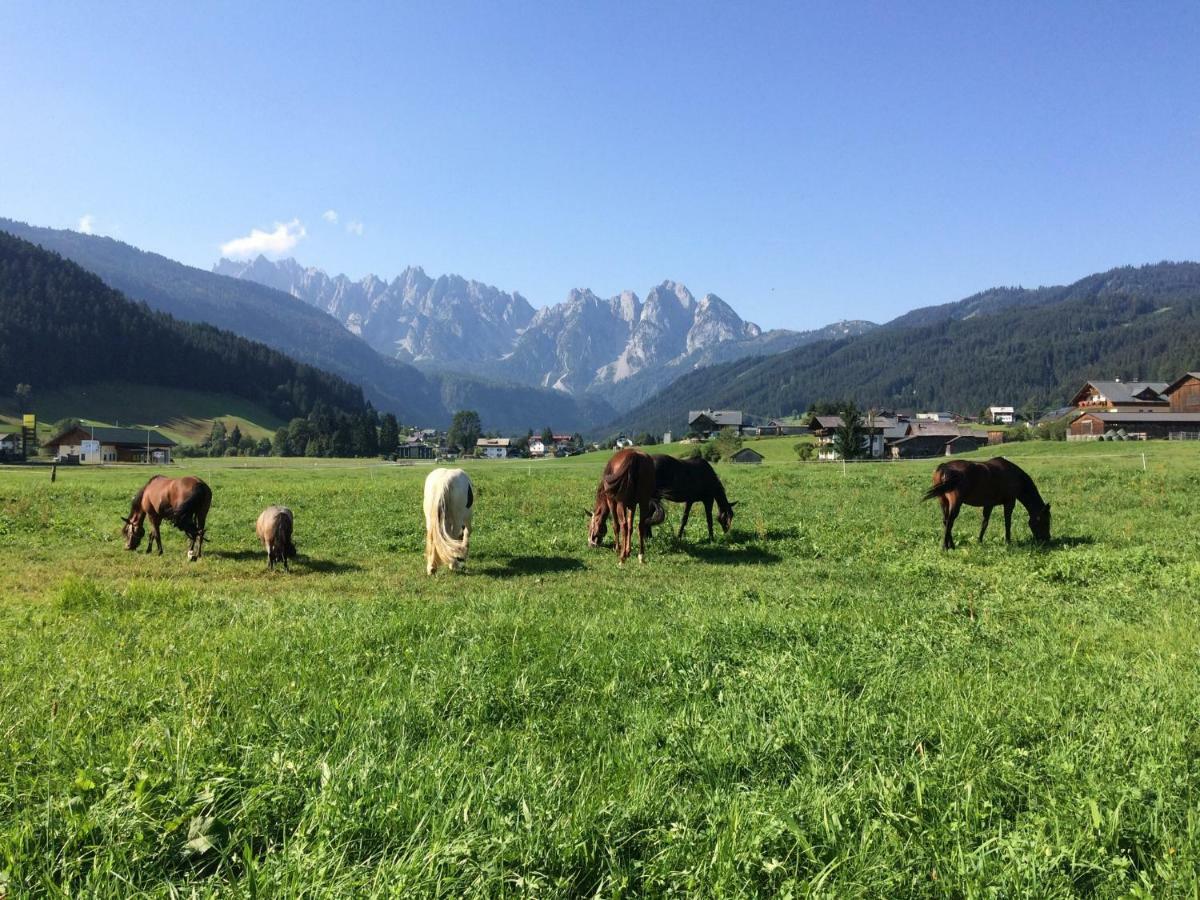 Ferienwohnung Schmiedsipplbad Gosau Luaran gambar